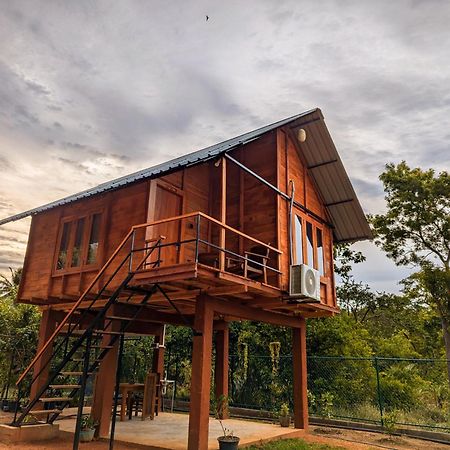 Lion Wood Treehouse Villa Talkote Екстериор снимка