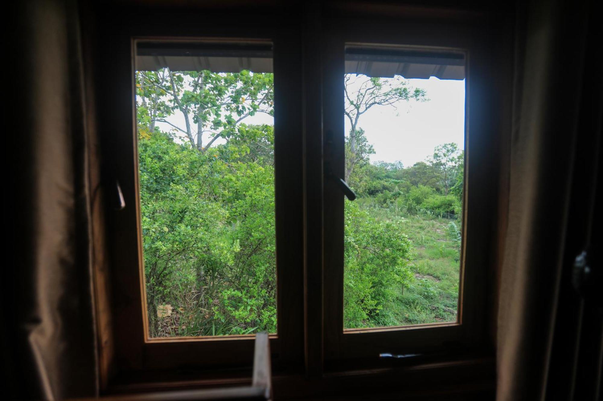 Lion Wood Treehouse Villa Talkote Екстериор снимка