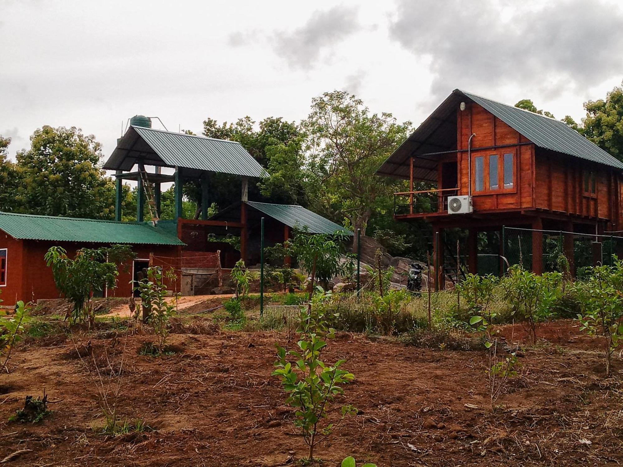 Lion Wood Treehouse Villa Talkote Екстериор снимка