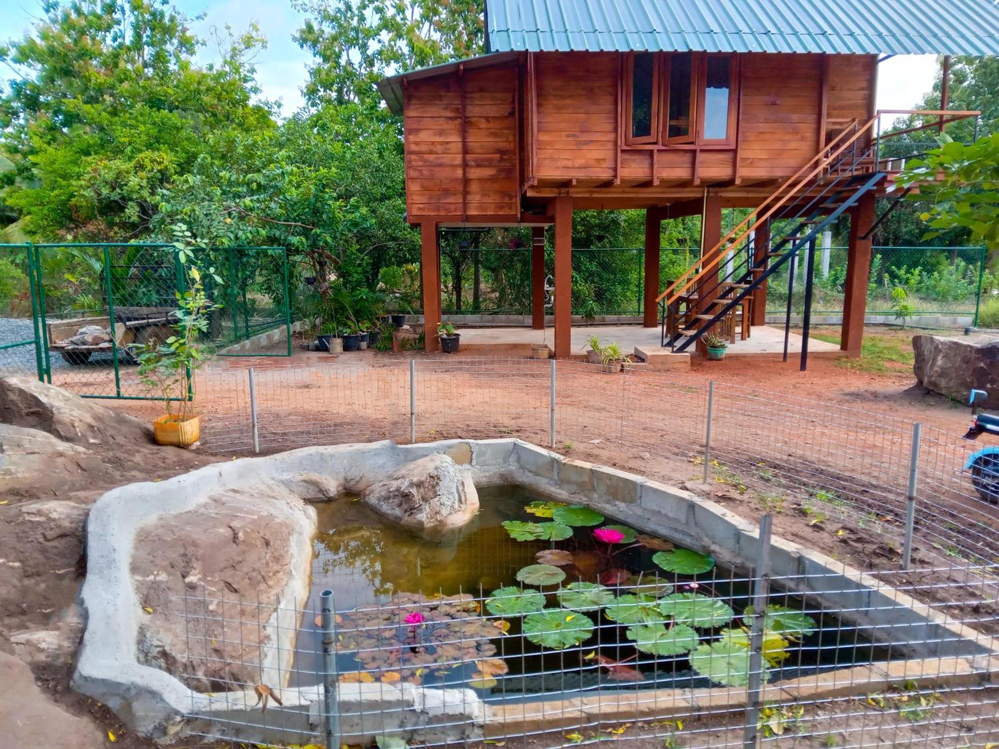 Lion Wood Treehouse Villa Talkote Екстериор снимка